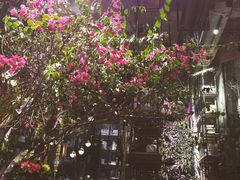 -范设计花园餐酒咖·中西餐·咖啡厅·酒馆