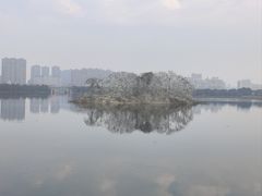 -九江市博物馆