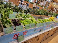 -琼菜王(南海店)