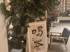 -猫屎咖啡(陶溪川店)