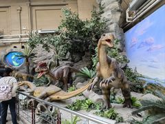 -国家自然博物馆