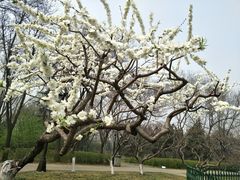 -玲珑塔公园