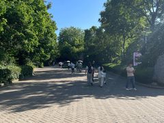 -大蜀山国家森林公园