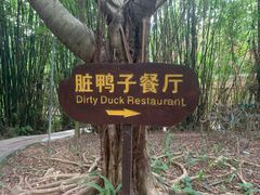 -七仙岭温泉国家森林公园