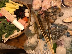 -海桐