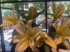 -鑫小城故事·藕汤·家常菜(台北一路总店)