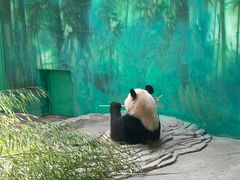 -杭州野生动物世界