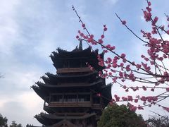 -杭州半山国家森林公园