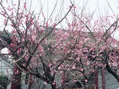-花洲书院