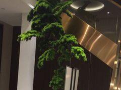 -正清和·推拿养生(二七广场店)