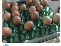 -Green Option(官舍店)