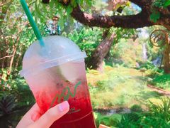 -Chom Cafe and Restaurant