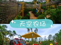 -美的鹭湖探索王国