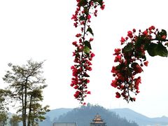 -顺峰山公园