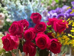 -向花仕Bloomy Life咖啡鲜花(益田假日店)