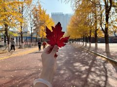 -辽宁大学(崇山校区)