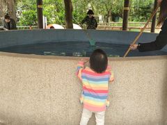 -杭州少年儿童公园