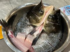 -小团圆灶台鱼·百城头牌菜(千岛湖店)