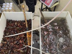 -龙虾奇迹(大华三路店)