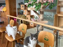 -上海佘山茂御臻品之选酒店(原佘山艾美酒店)
