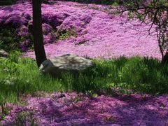 -昆嵛山石门里景区