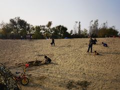 -东郊湿地公园