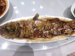 -老牌坊鲁菜名店(聊城美食岛店)