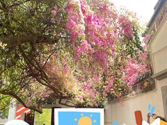 -深圳国际园林花卉博览园