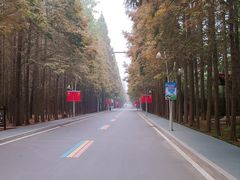 -日照海滨国家森林公园