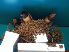 -服务大楼冷面(延大店)