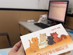 -贝利宠物医院·骨科·眼科·肿瘤转诊中心(南坪诊疗中心)