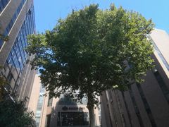 -慈铭体检(北京奥亚分院)