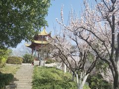 -幕燕滨江·燕子矶公园