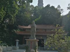 -顺峰山公园