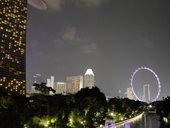 -新加坡摩天观景轮