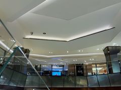 -港汇恒隆广场