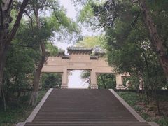 -灵谷景区