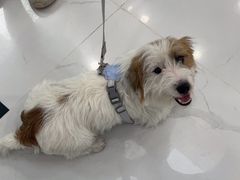 -纳吉亚猫专科动物诊疗中心(蒋宅口分院)