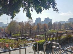-五缘湾湿地公园