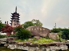 -观潮胜地公园