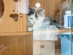 -顺德·古草食记(长寿店)