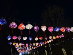 -青龙湖公园