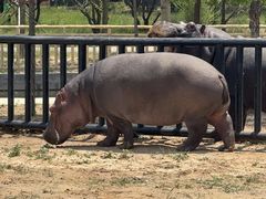 -鄂尔多斯野生动物园
