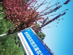 -洪湖家庭农场·团建·露营·会议