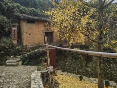 -杨家堂村