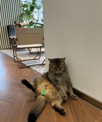 -优刻西服西装定制(金轮国际广场店)