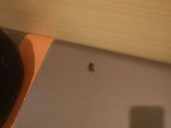 -7天优品·南京东南大学鼓楼医院店