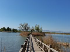 -野鸭湖国家湿地公园