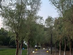 -艾溪湖湿地公园