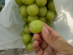 -美家乐农庄·露营·团建(大治路店)